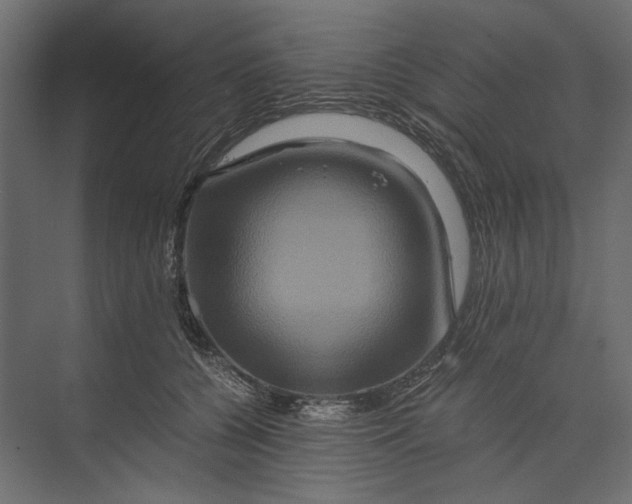 X0000073430560200608181150