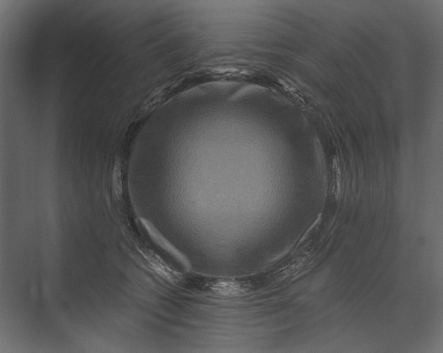 X0000073430562200608181150
