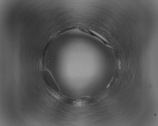 X0000073430564200608181150