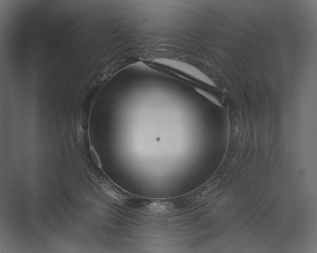 X0000073430566200608181150