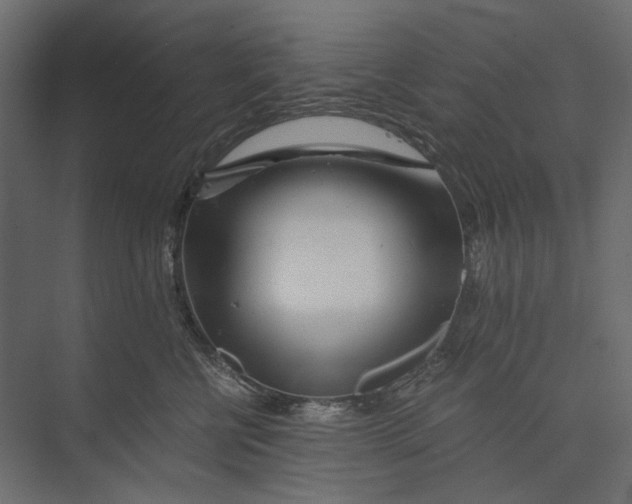 X0000073430570200608181150