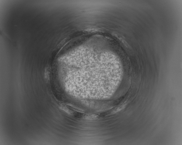 X0000073430576200608181150