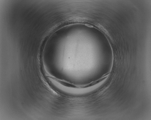 X0000073430581200608181149