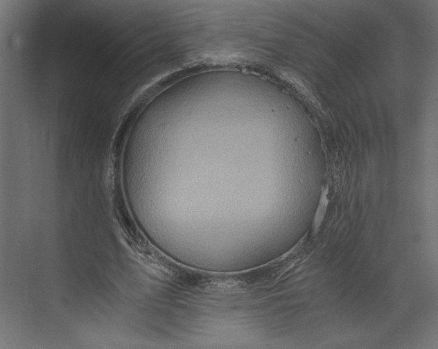 X0000073430583200608181149