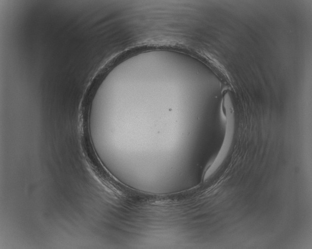 X0000073430584200608181149