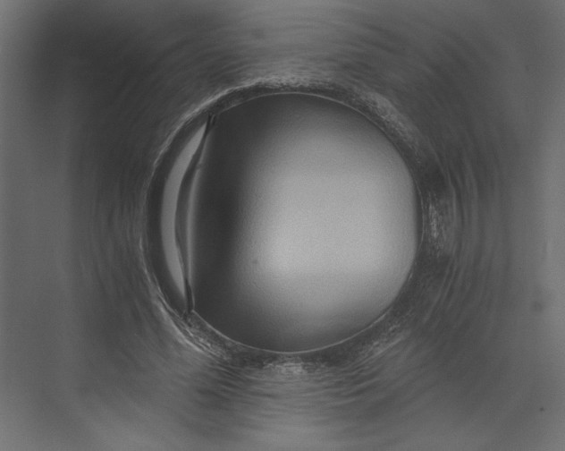 X0000073430588200608181149