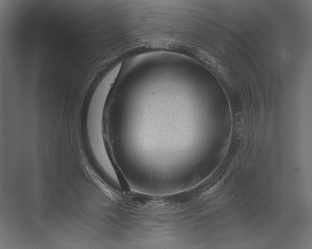 X0000073430589200608181149