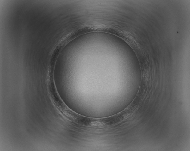 X0000073430591200608181149