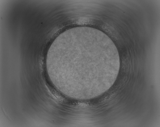 X0000073430592200608181149