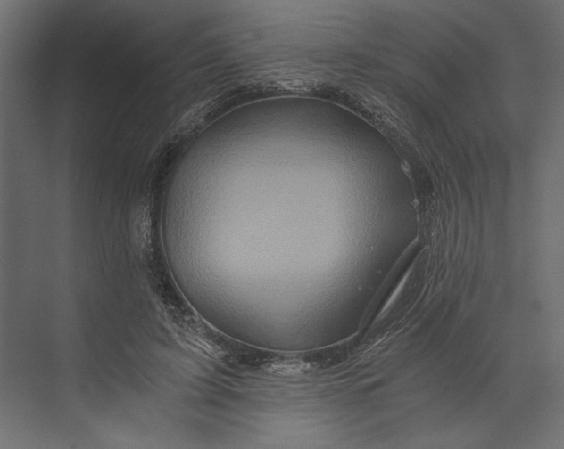 X0000073430595200608181149