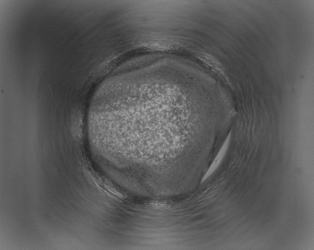 X0000073430596200608181149