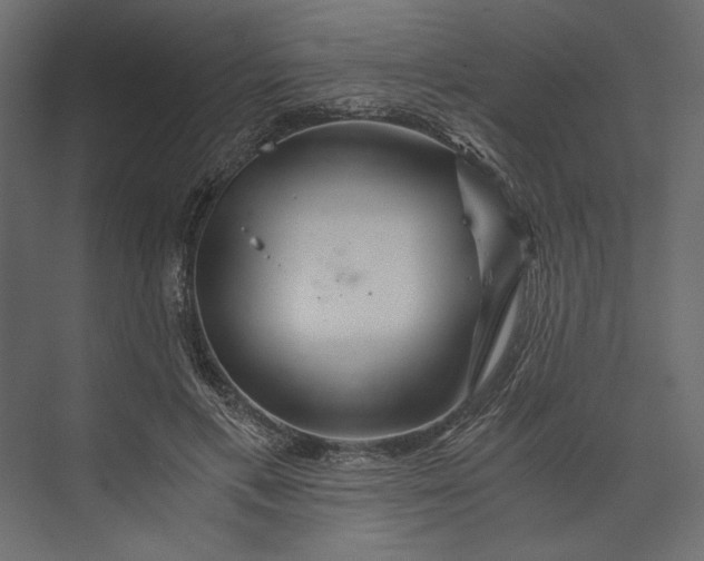 X0000073430597200608181149