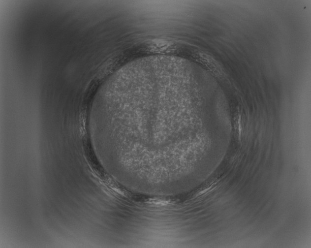 X0000073430602200608181149