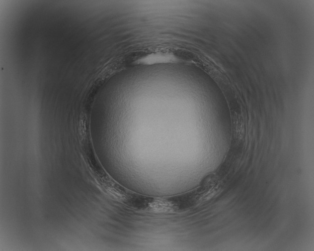 X0000073430603200608181149