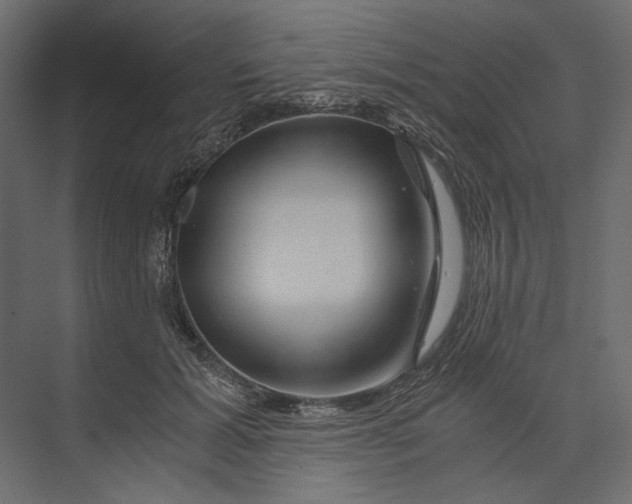 X0000073430605200608181149
