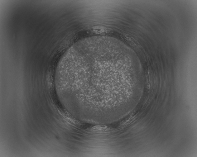 X0000073430606200608181149