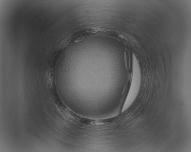 X0000073430607200608181149