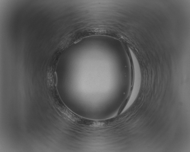 X0000073430609200608181149