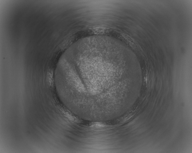 X0000073430610200608181149