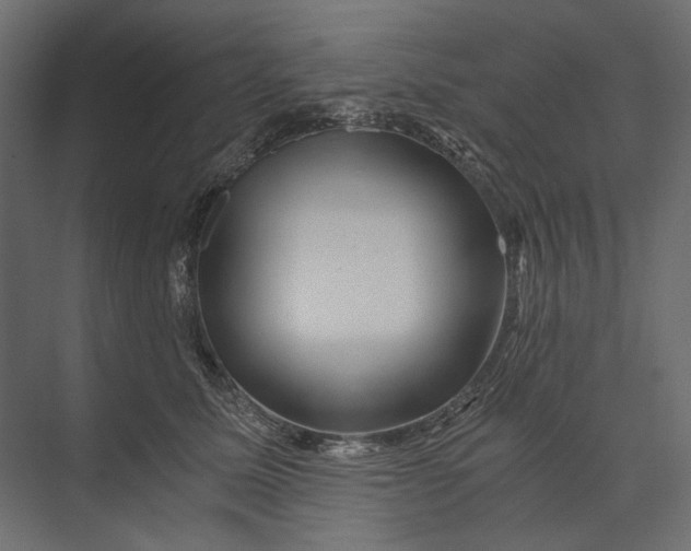 X0000073430611200608181149