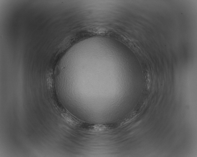 X0000073430612200608181149