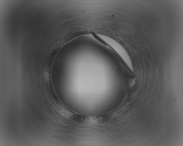 X0000073430613200608181149