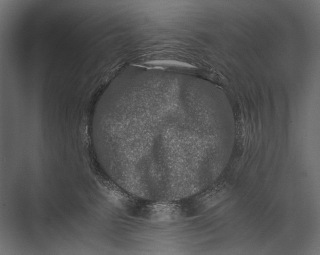 X0000073430615200608181148