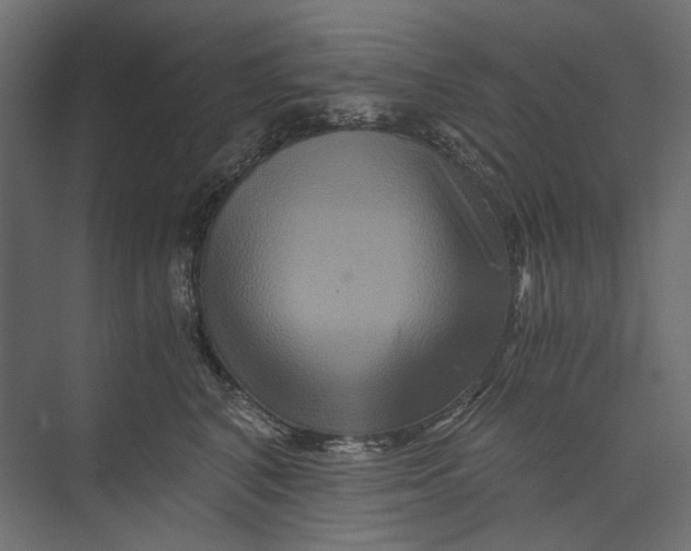 X0000073430616200608181148
