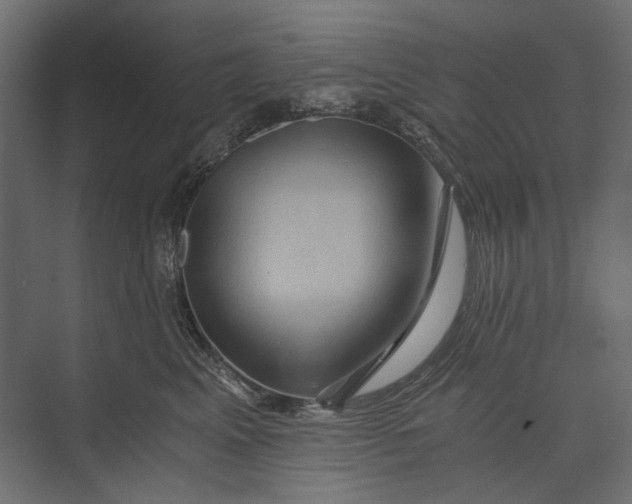 X0000073430617200608181148