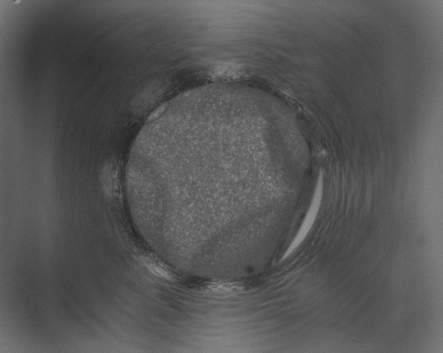 X0000073430619200608181148