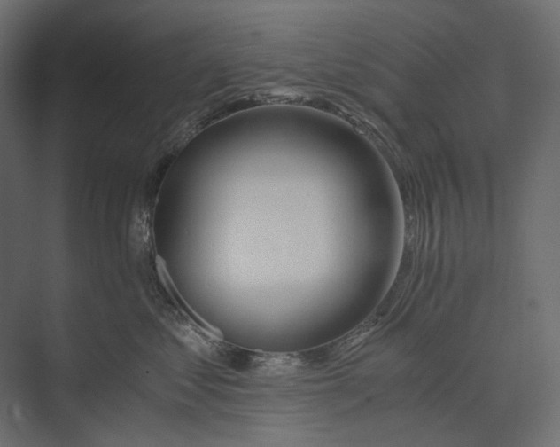 X0000073430621200608181148