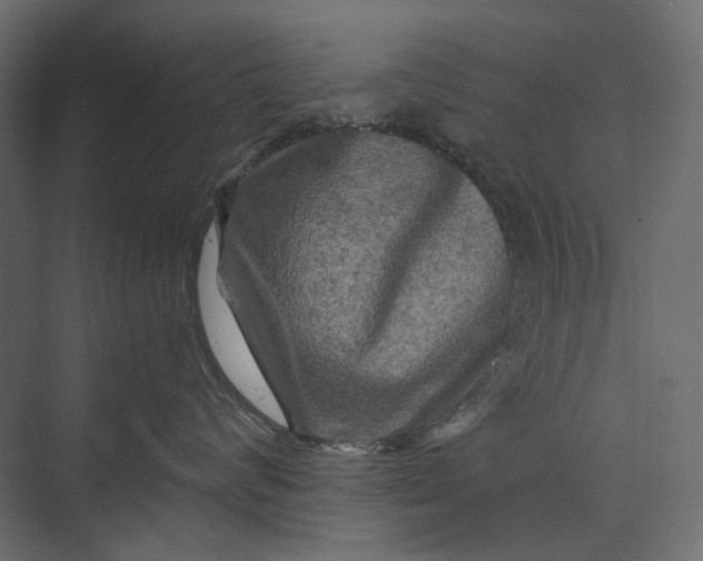 X0000073430624200608181148