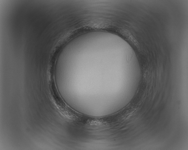 X0000073430635200608181148