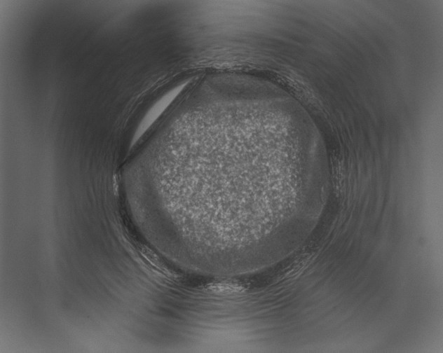 X0000073430644200608181148