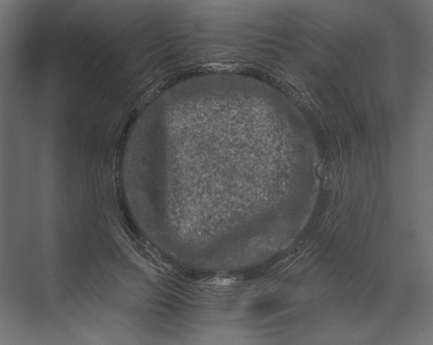 X0000073430647200608181148