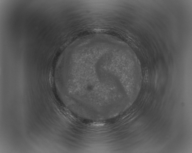 X0000073430651200608181148