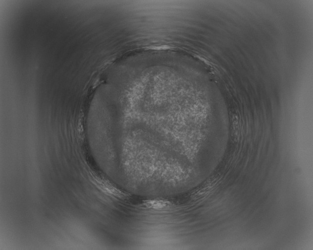 X0000073430654200608181148