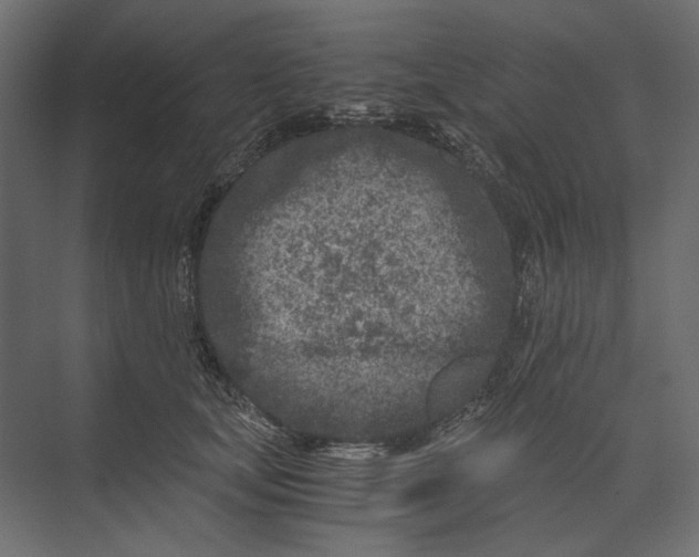 X0000073430659200608181148