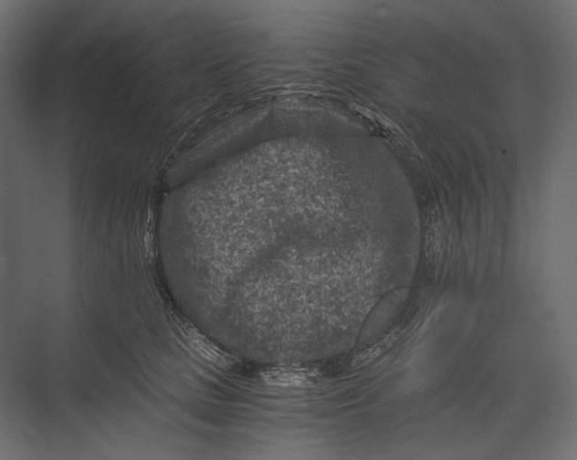 X0000073430661200608181148
