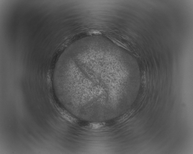 X0000073430662200608181148