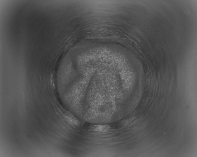 X0000073430663200608181148
