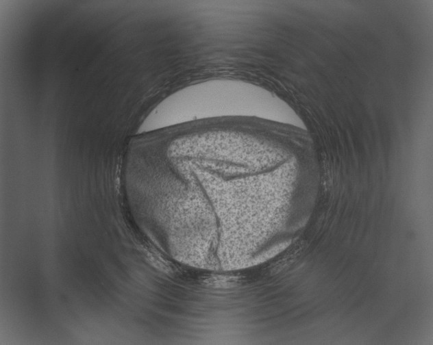 X0000073430664200608181148