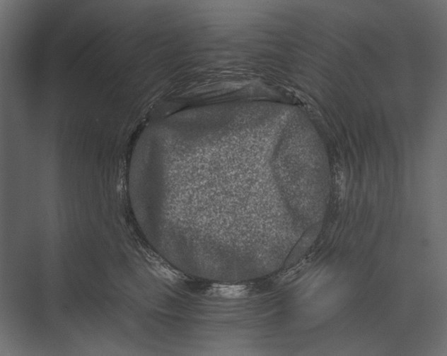 X0000073430665200608181148