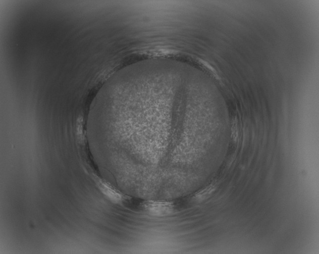 X0000073430670200608181148
