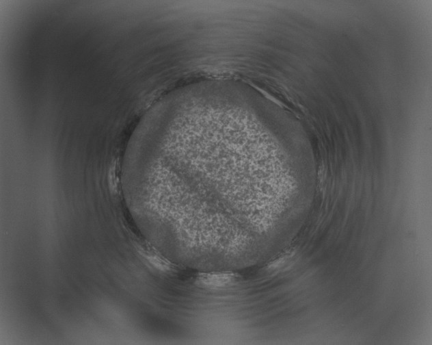 X0000073430671200608181148
