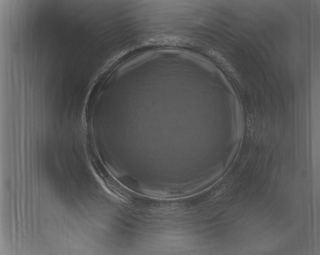 X0000073430674200608181147