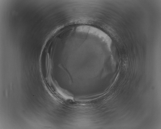 X0000073430678200608181147