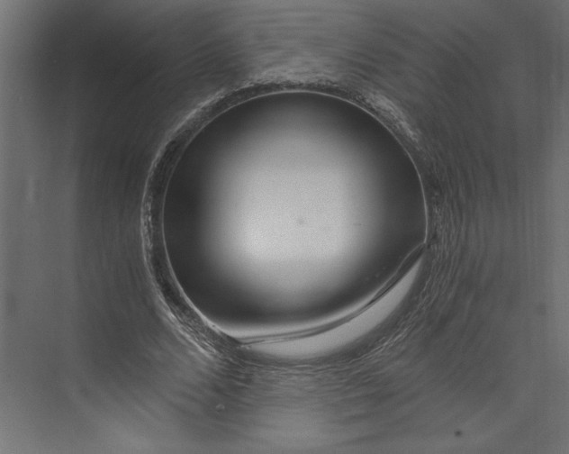 X0000073430680200608181147