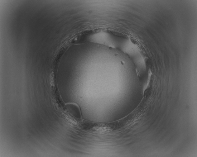 X0000073430689200608181147