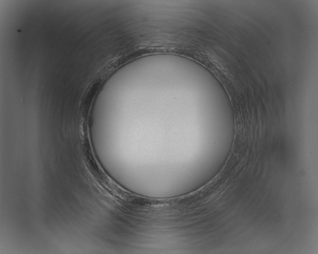 X0000073430692200608181147
